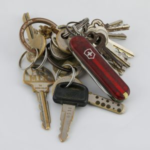 Everyday Key Holder Ring